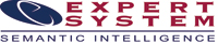 Expert System